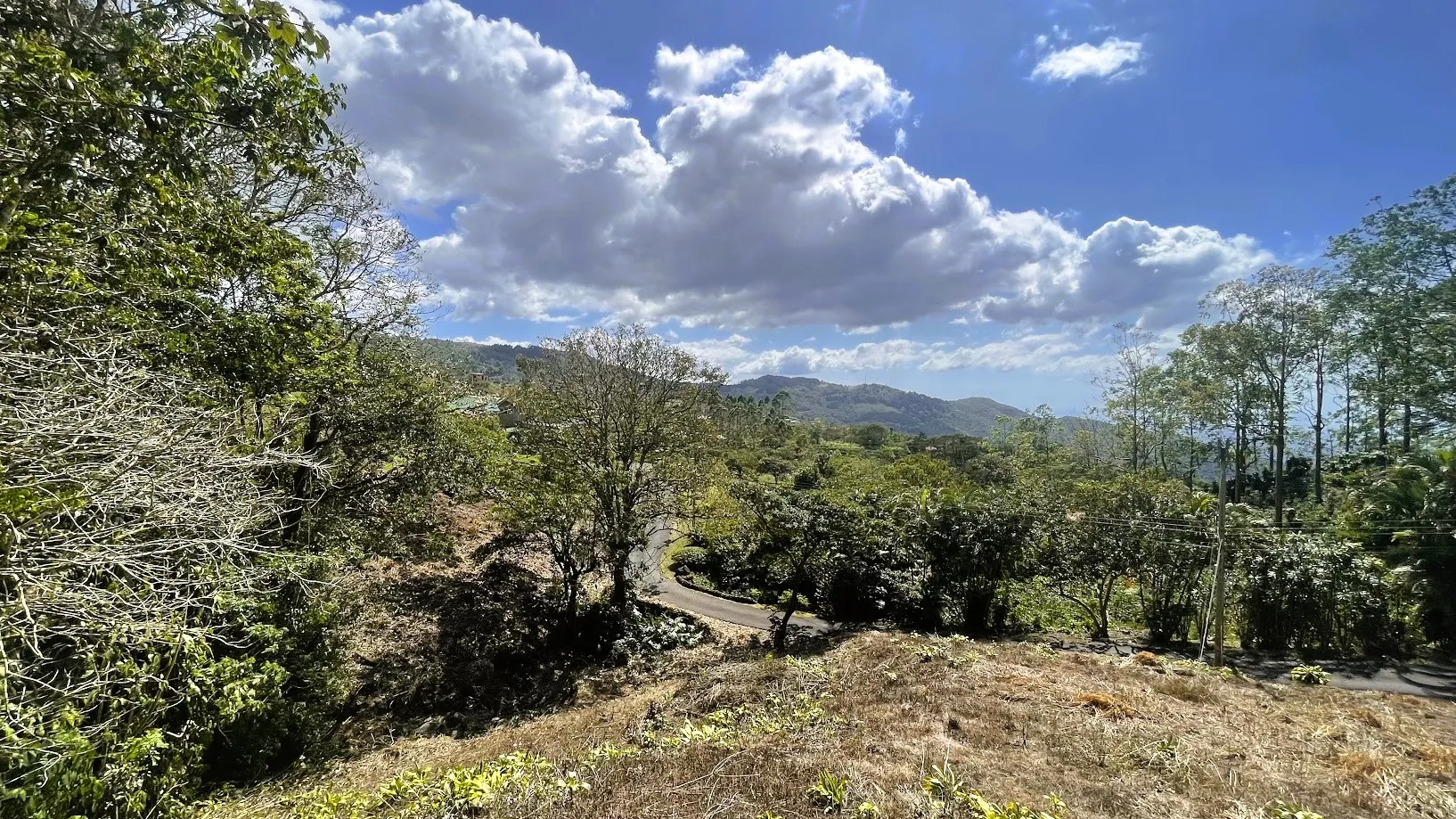 OCEAN VIEW LOT FOR SALE IN SANTIAGO, SAN RAMON - image 6