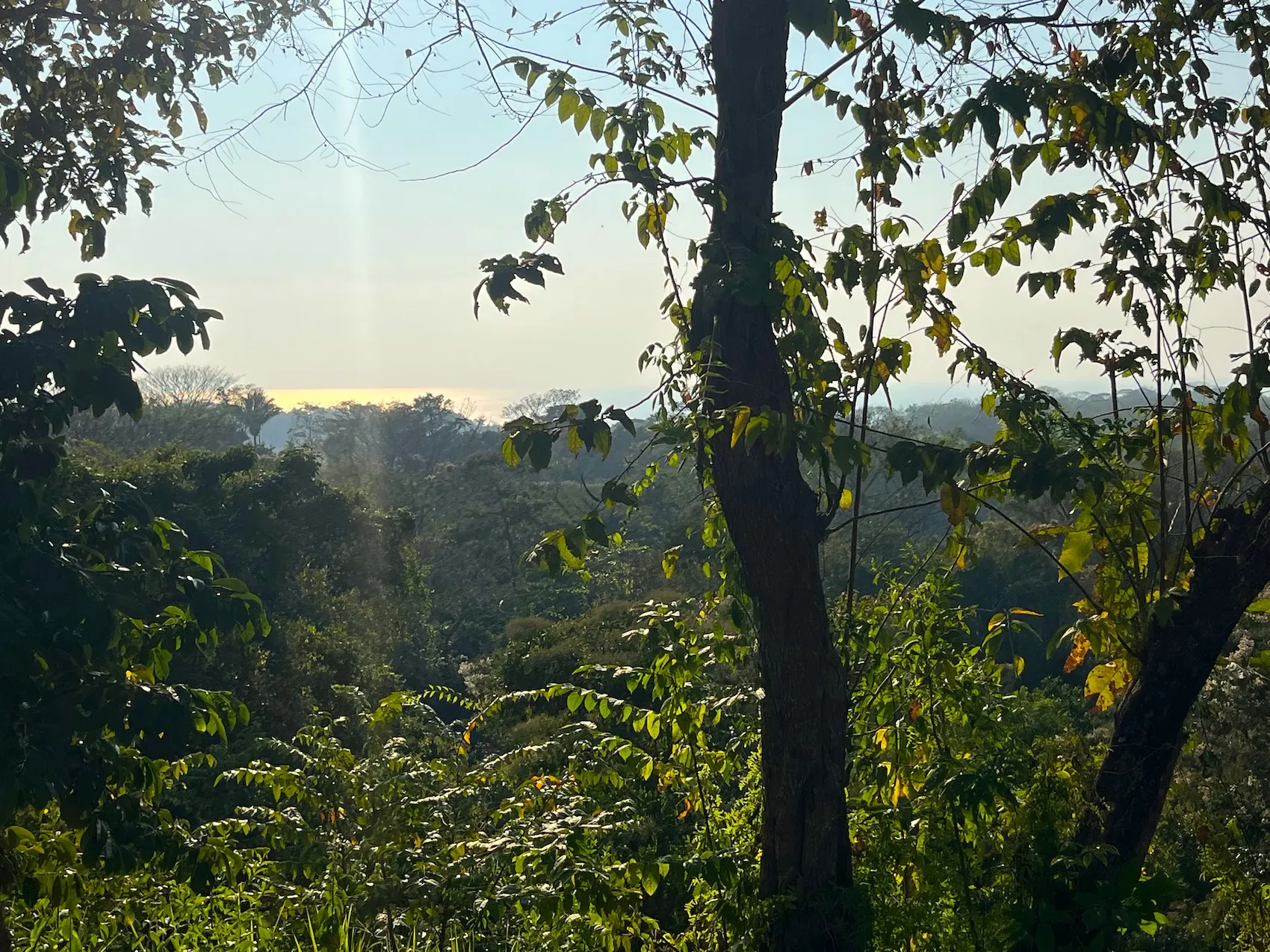 6,300m² Lot with Beautiful Valley, Ocean & Sunset Views Near Playa Hermosa - image 7