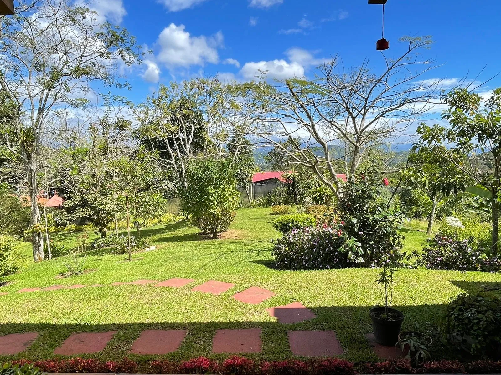 FOR SALE: Charming Get away Property in Zaragoza de Palmares - image 11