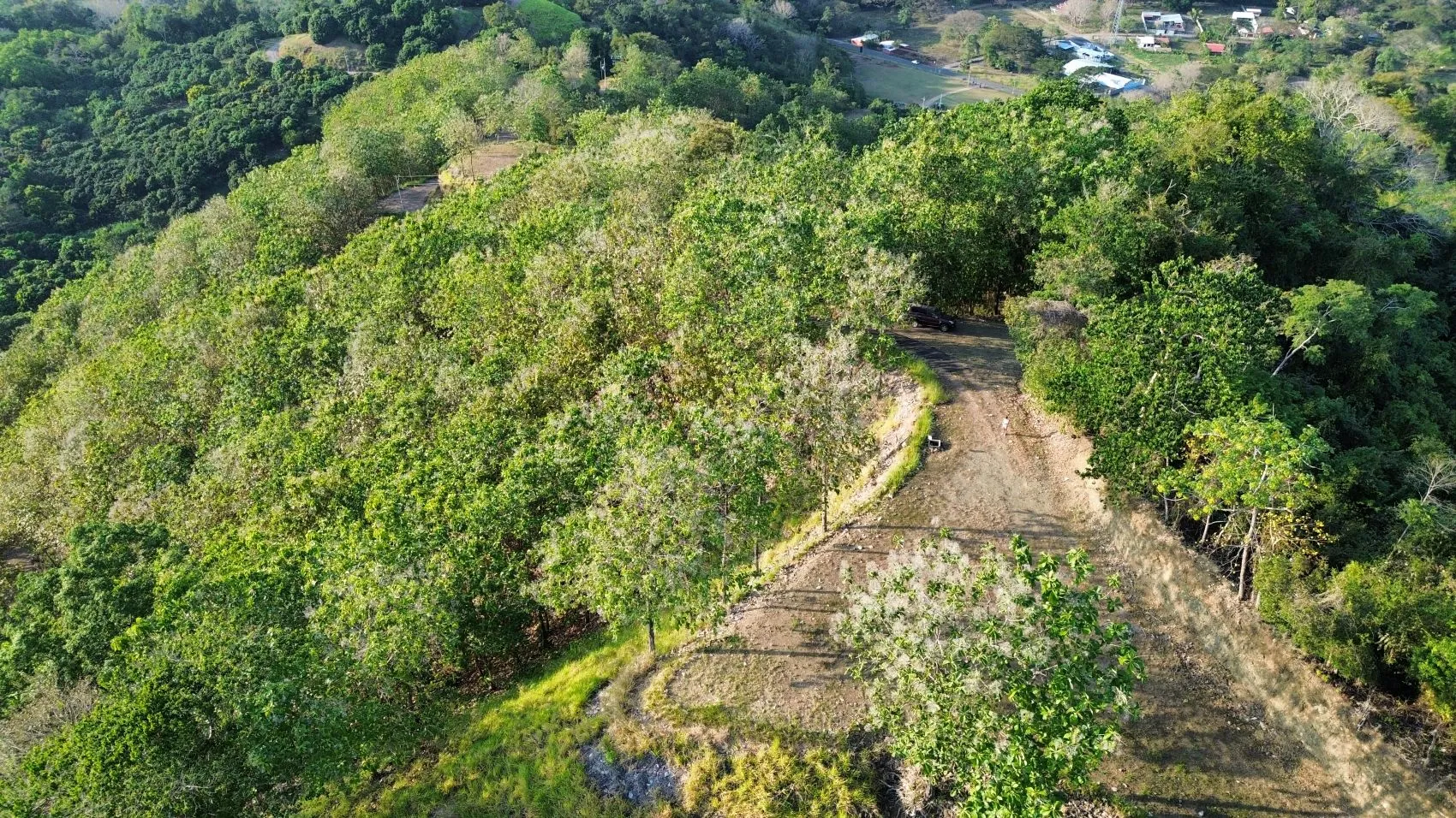 Beautiful Oceanview lot in community in Tambor - image 5