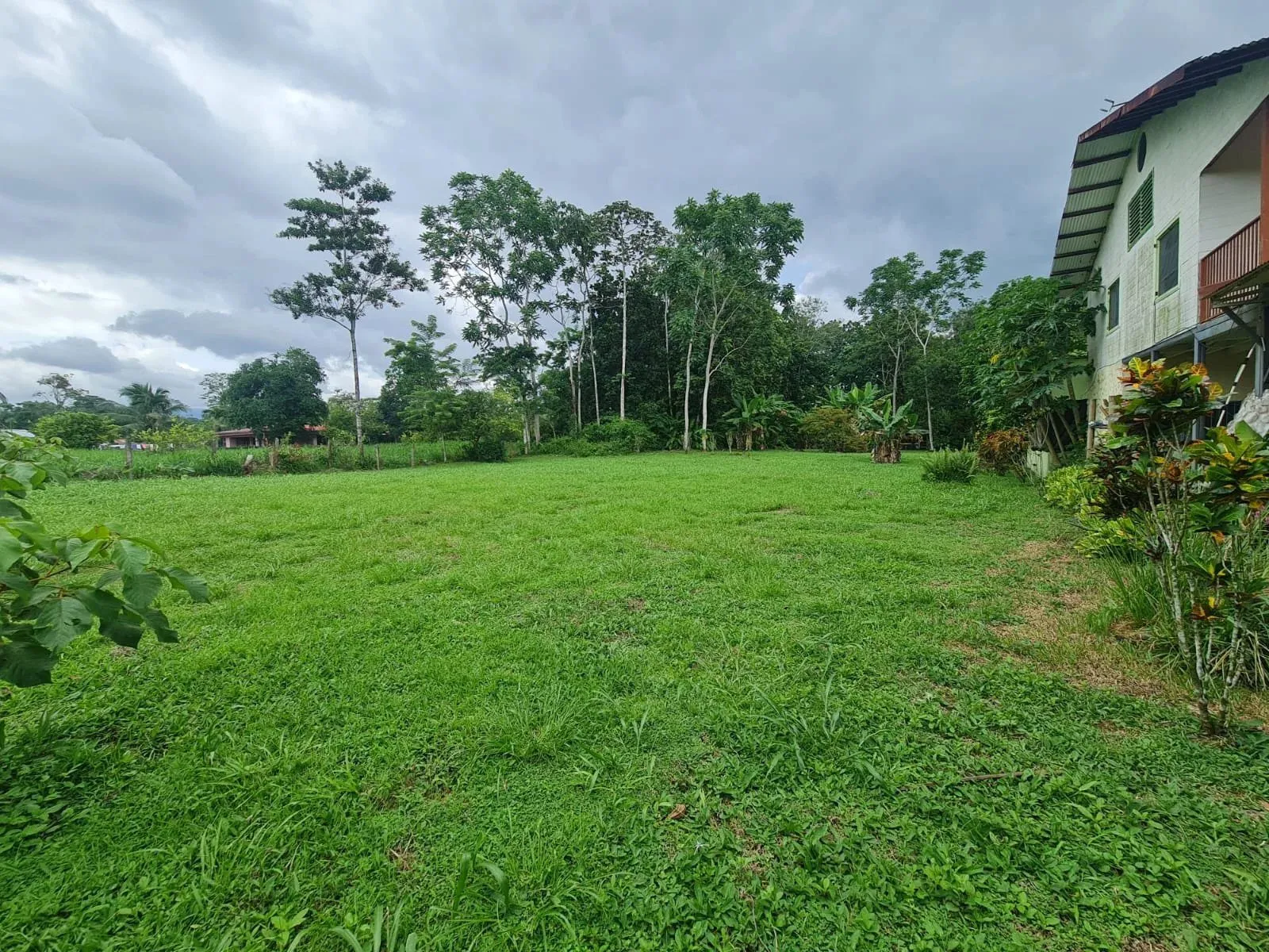 Farm for sale in San Ramon - image 1