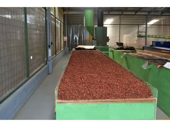 SE VENDE FINCA DE CACAO EN PRODUCCIÓN Y CRECIMIENTO - image 7