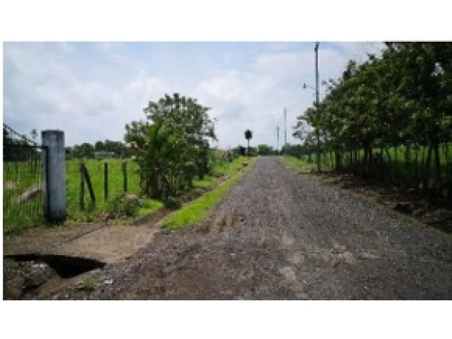 Lote plano en Turrucares - image 3