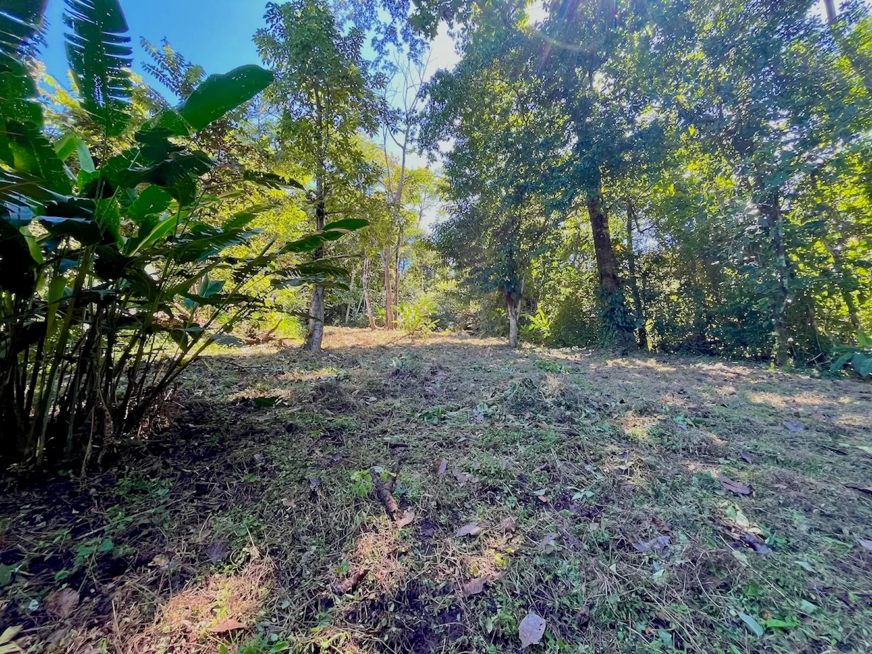 Discover an exceptional commercial and residential property steps from the ocean  in Mal País, Costa Rica! - image 4