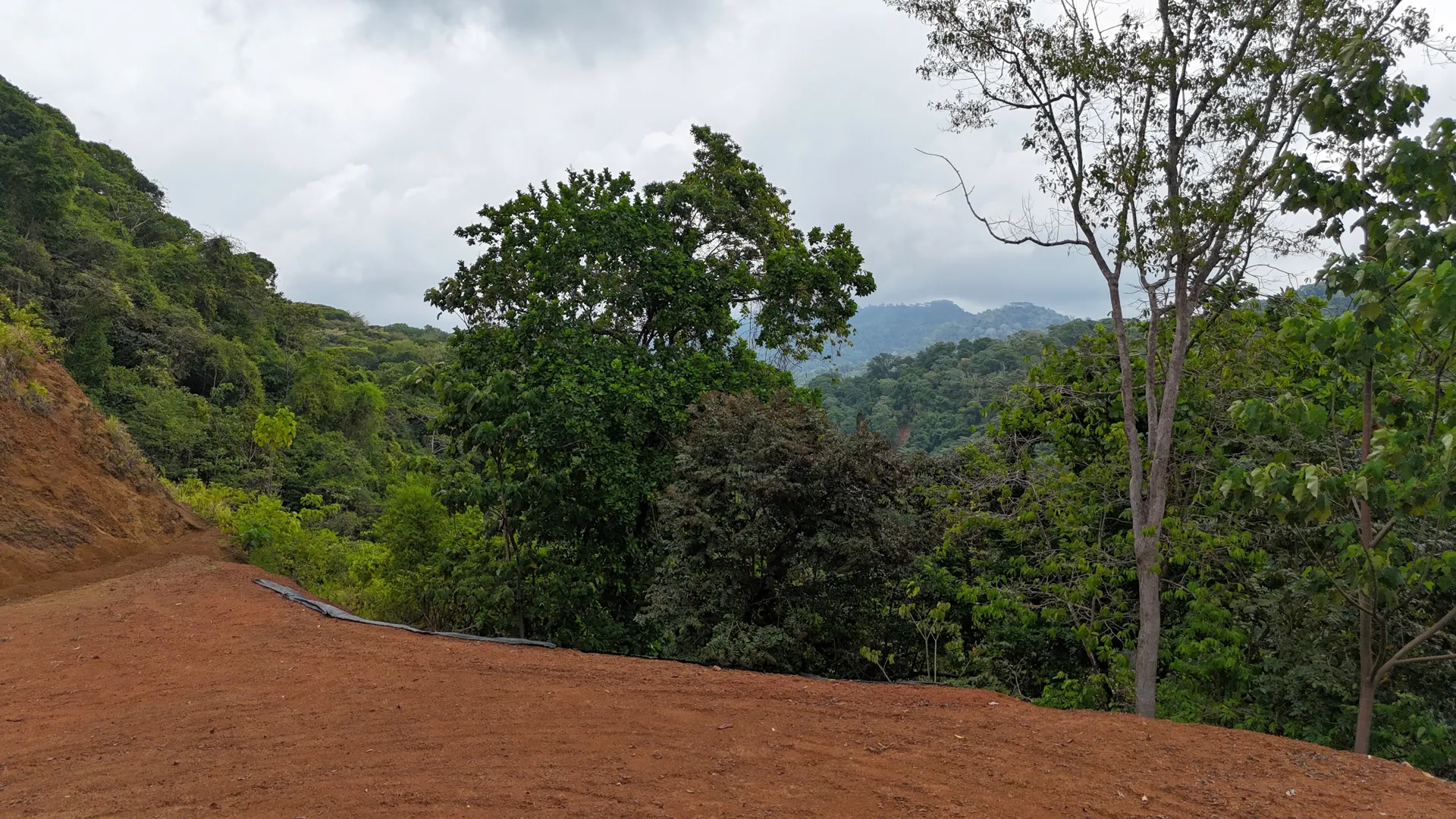 UNPARALLELED OCEAN VIEW LAND IN OJOCHAL, COSTA RICA - image 14