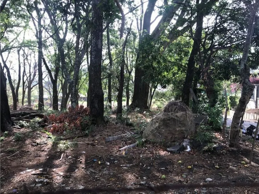 LOTE DE TERRENO, TERRENO SAN ANA SALITRAL - image 6