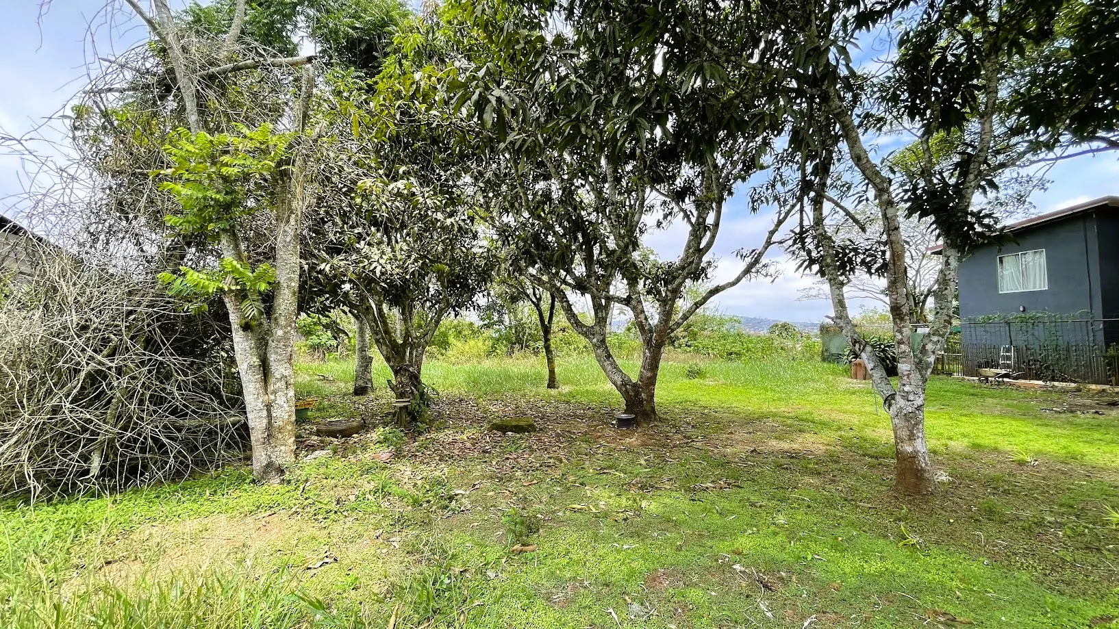 LAND FOR SALE IN SAN ISIDRO, SAN RAMON - image 13