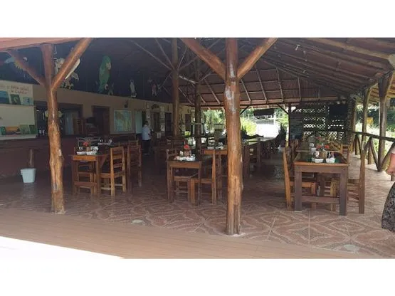  The Best Hotel in The Country For Bird Watching - image 12