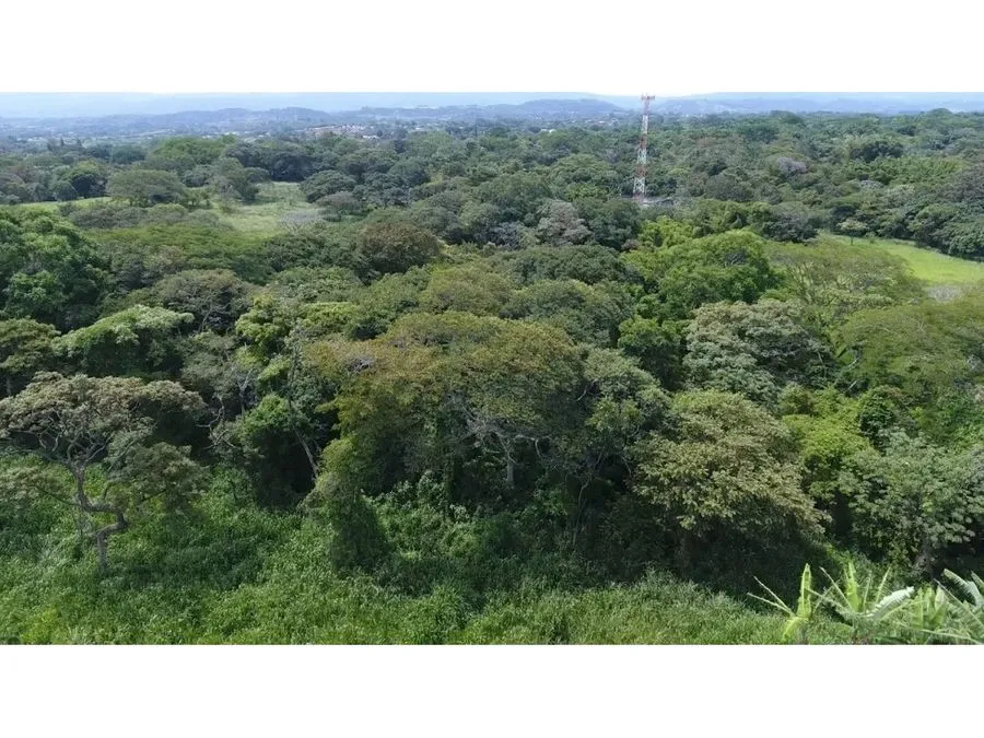 Selling a large lot in La Garita, Alajuela - image 8