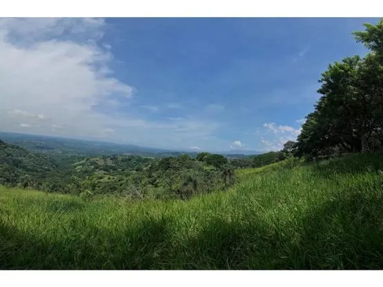 For sale: Developable land in Desmonte - image 7