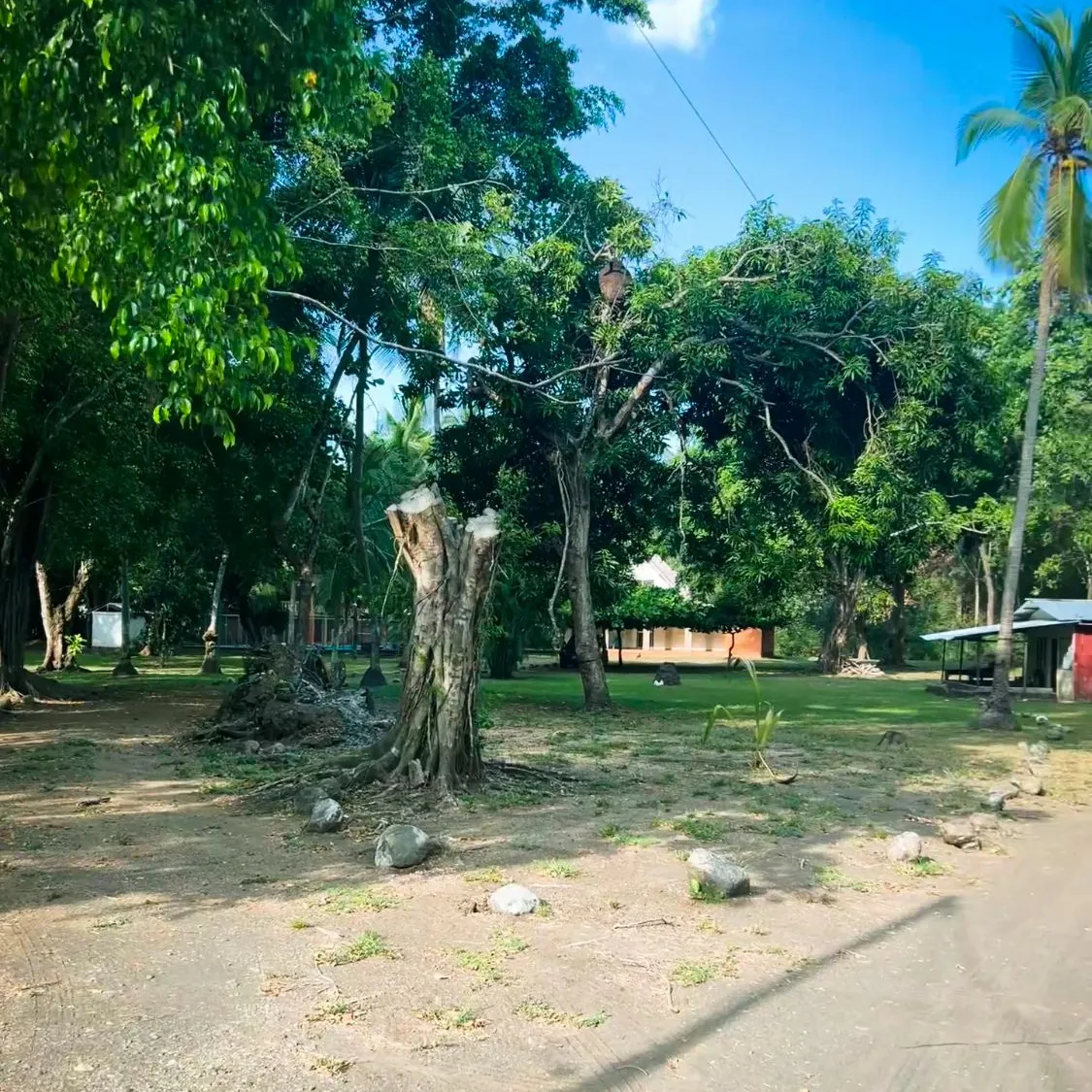 EXCLUSIVE OPPORTUNITY IN PLAYA AZUL: 7,658 m² LOT + 3 HOUSES & POOL INCLUDED! - image 12