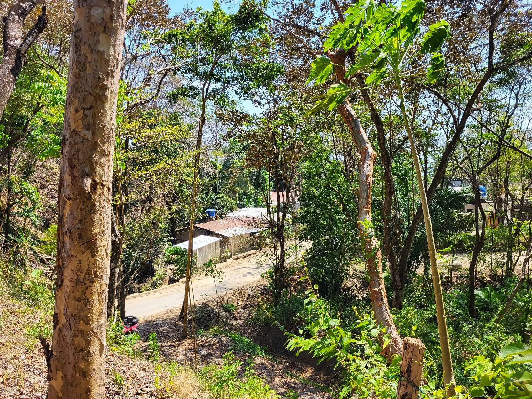 Prime Tropical Dream Lot For Sale - image 8