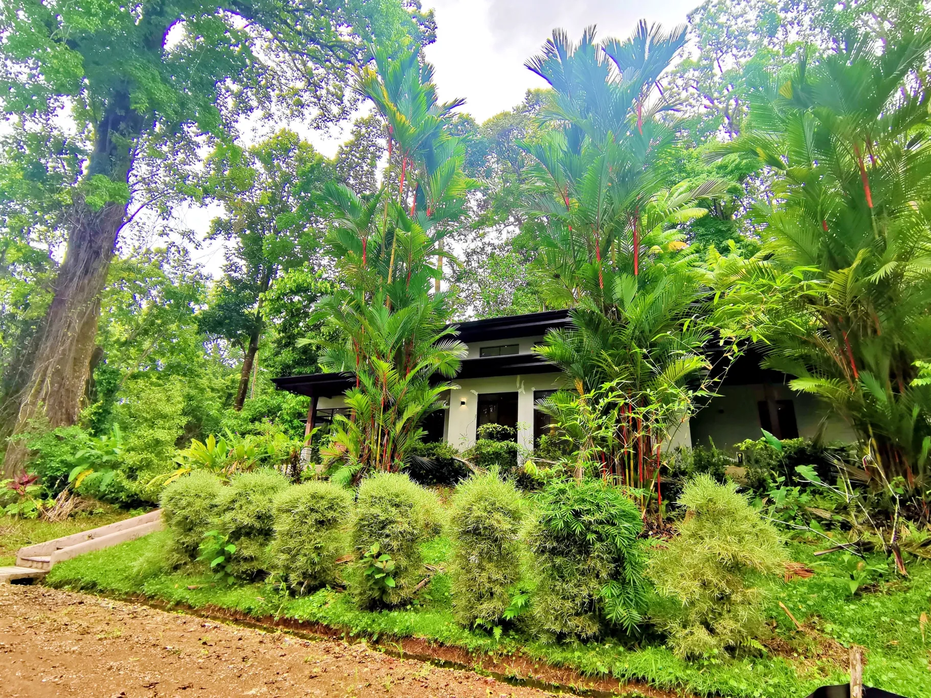 MAJESTIC VIEW HOUSE IN DOMINICAL, COSTA RICA - image 5