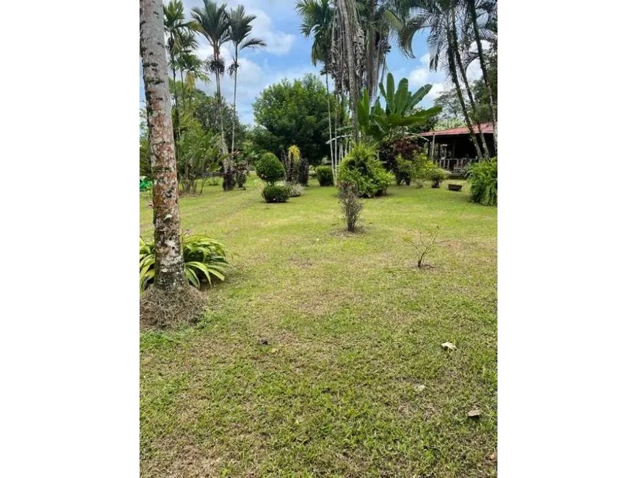 Caribbean Paradise, Guacimo, Limon - image 3