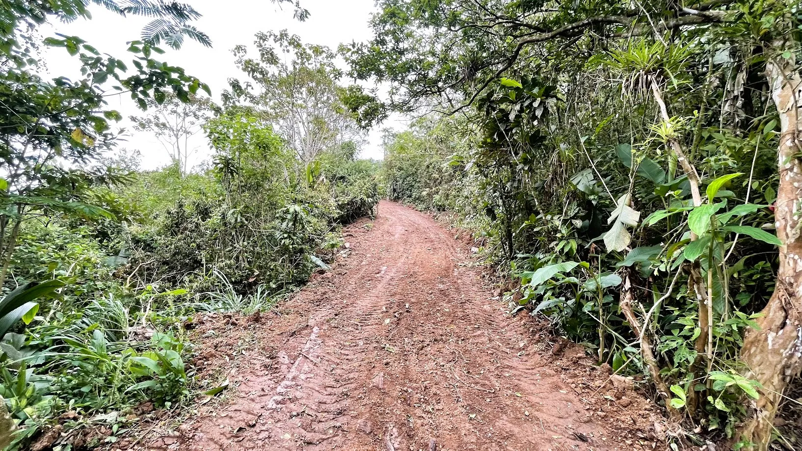 LAND FOR SALE IN SAN RAFAEL, SAN RAMON - image 14