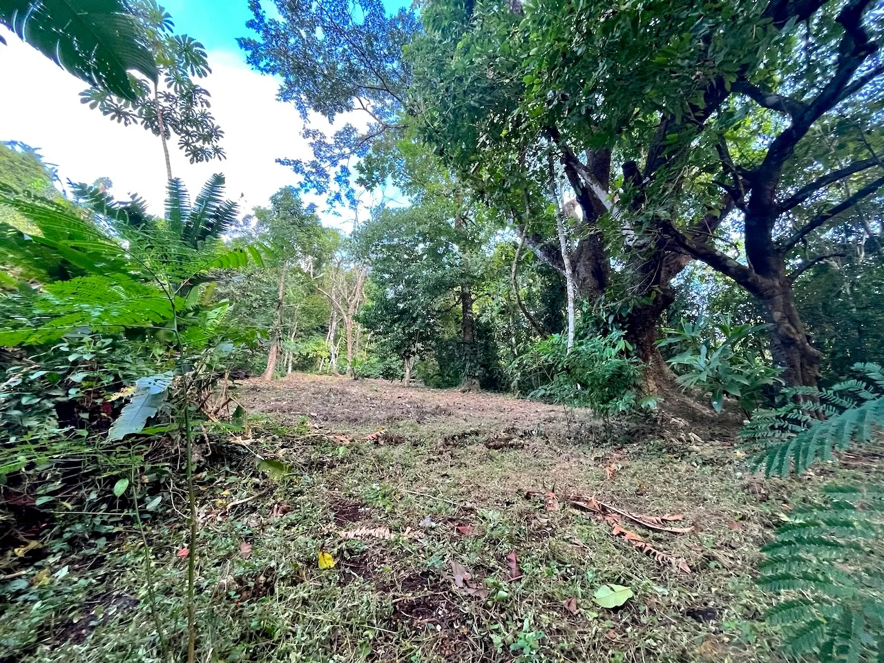 Discover an exceptional commercial and residential property steps from the ocean  in Mal País, Costa Rica! - image 7