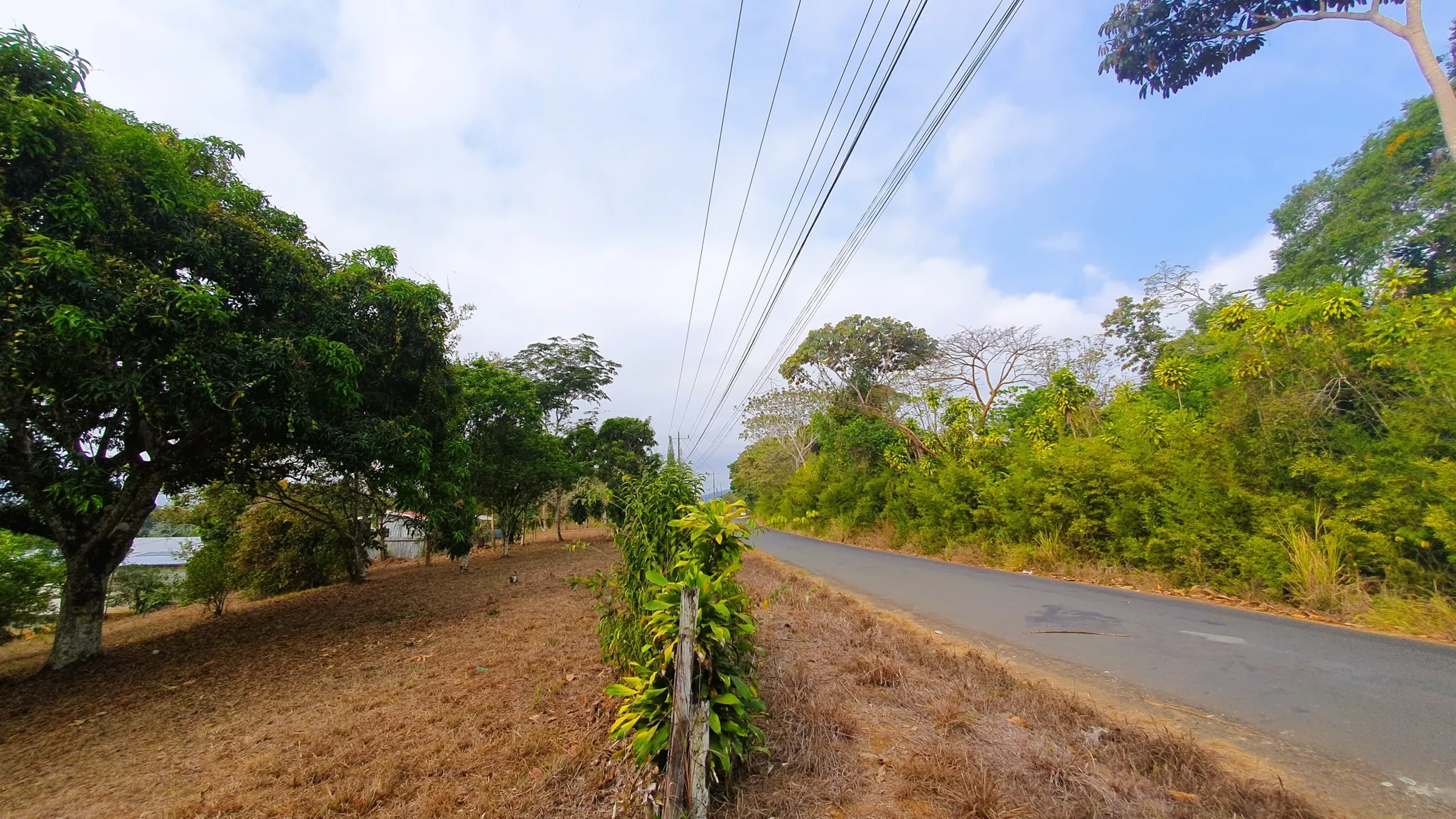 FRUIT TREE PROPERTY IN PEREZ ZELEDON, COSTA RICA - image 10