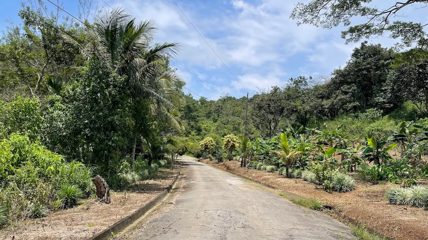 LOT FOR SALE IN SAN PEDRO, SAN RAMON - image 7