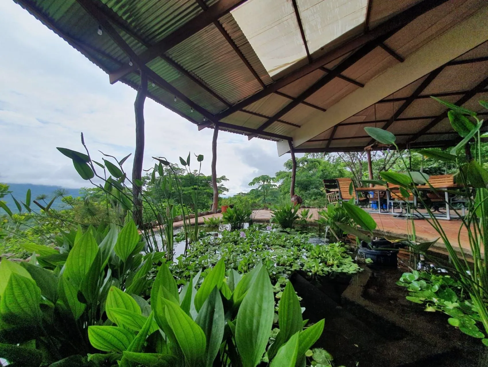 Magnificent Super-Adobe Constructed Home for Sale - image 11