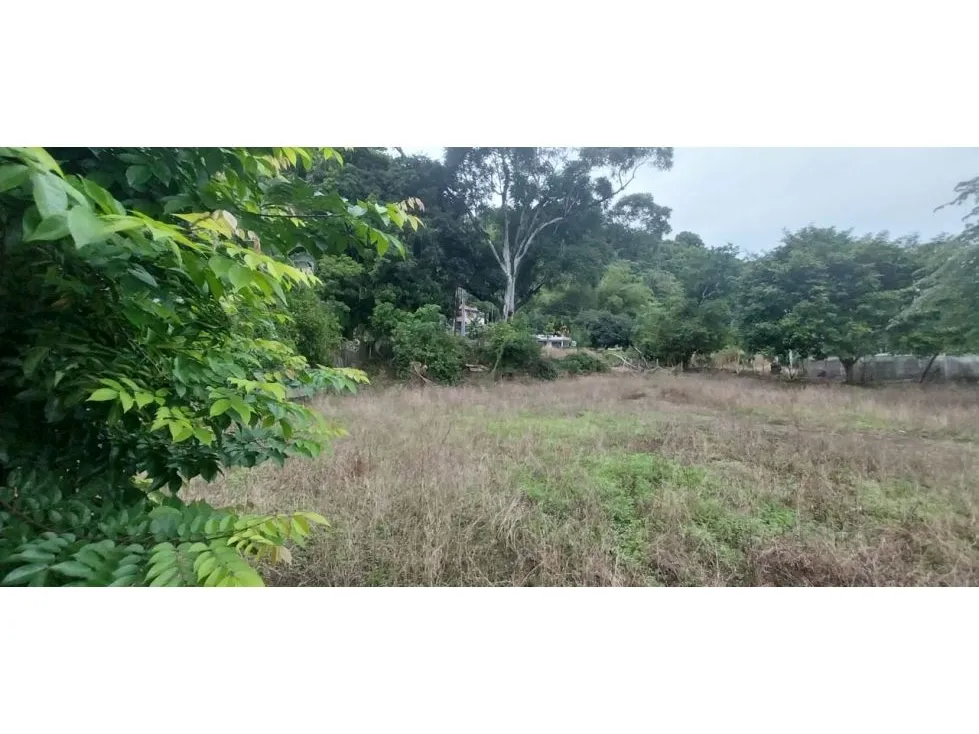  Lot Of Land With a Great Potential To Invesment - image 3