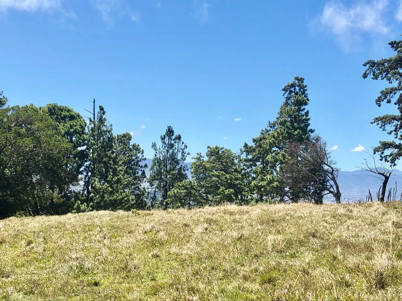 Sale / Beautiful Land (With Permission for Commercial Use) San Isidro, Heredia - image 8