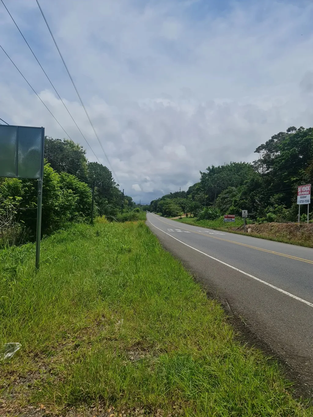 Farm for sale in Bejuco - image 4