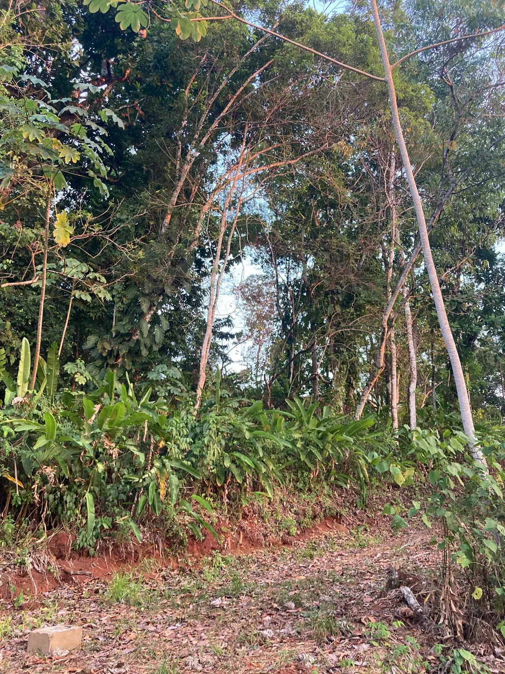 Lot with mountain view - image 9