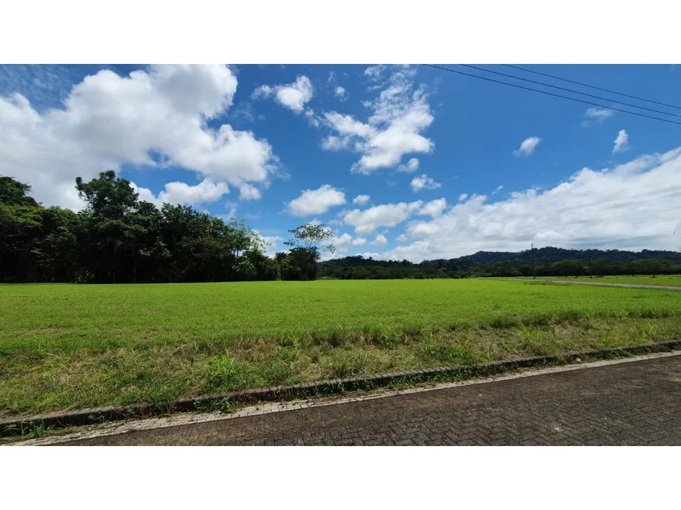 Spectacular 5062 mts Lot In A Private Community near Playa Hermosa - image 10