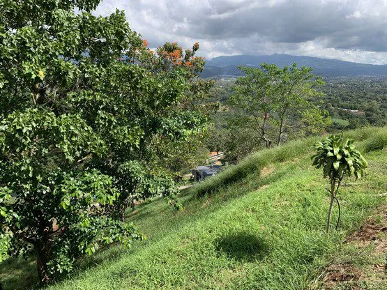 Condominium Lots with Perfect Views - image 6