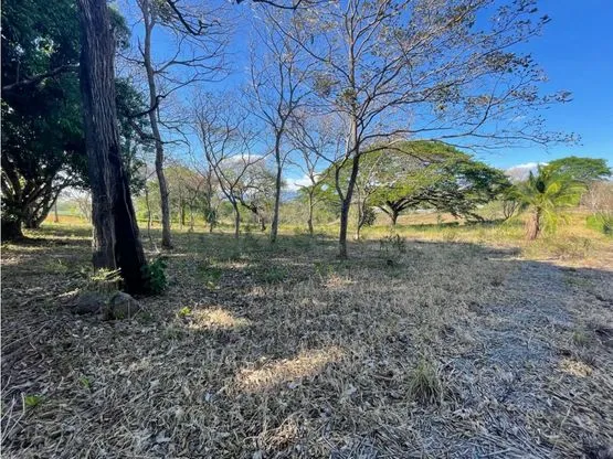 For Sale: Beautiful flat lot in La Ceiba of Orotina - image 12