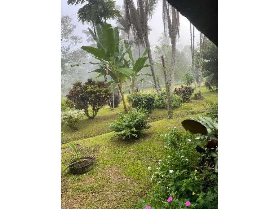 Caribbean Paradise, Guacimo, Limon - image 5