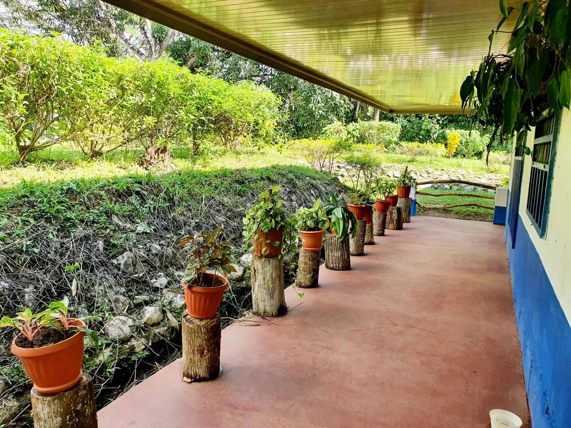 Land to develop a country lifestyle! - image 5