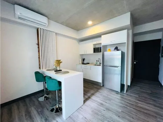 Rent / Amazing Apartament in SECRT Condominium, Sabana Sur, San Jose  - image 6