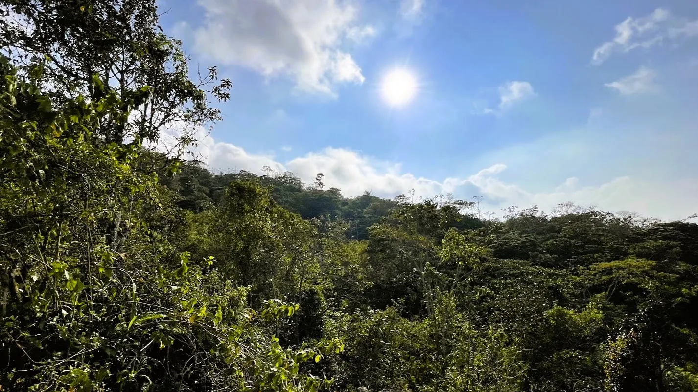 LAND FOR SALE IN SAN RAFAEL, SAN RAMON - image 10