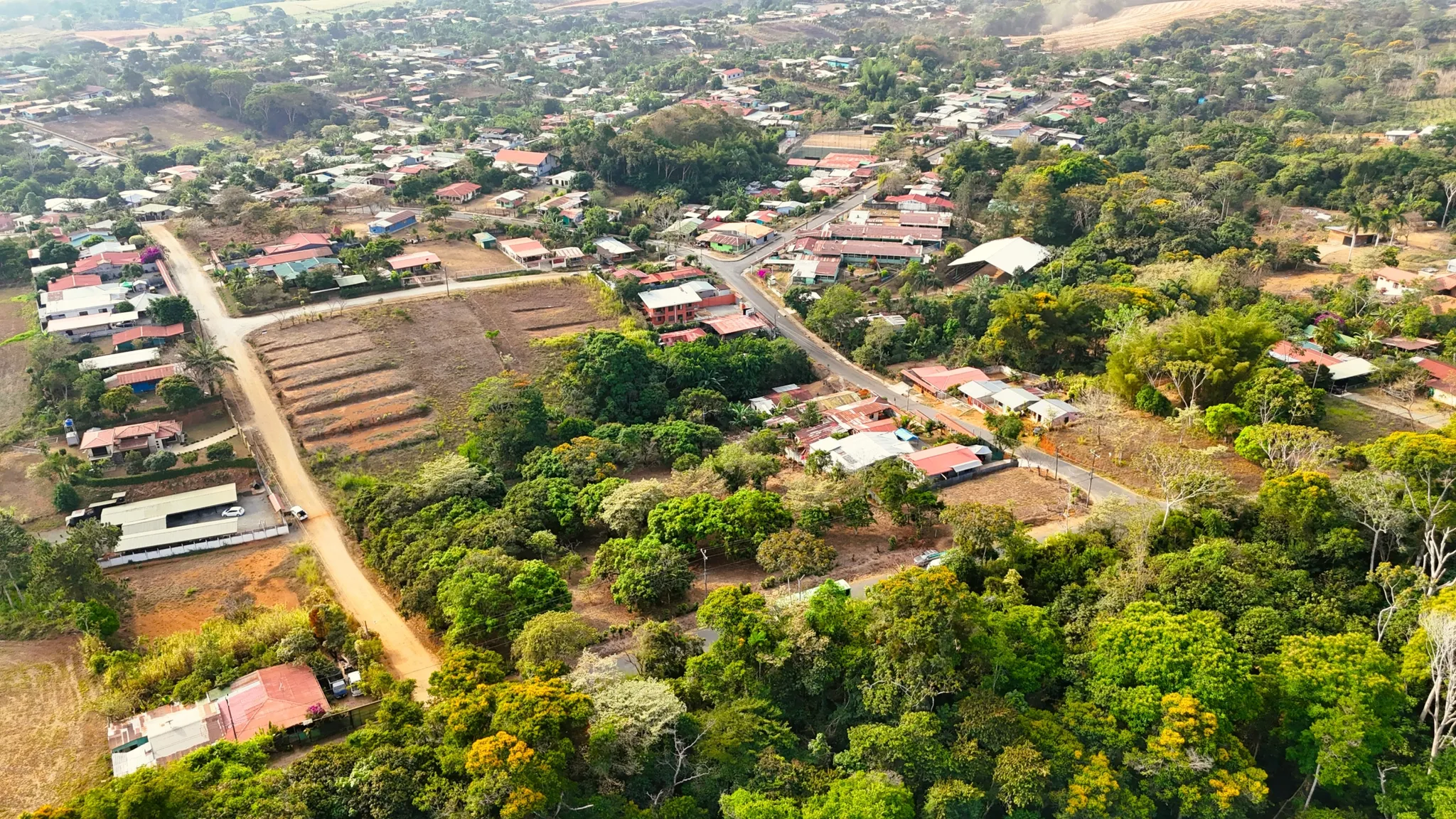 FRUIT TREE PROPERTY IN PEREZ ZELEDON, COSTA RICA - image 5