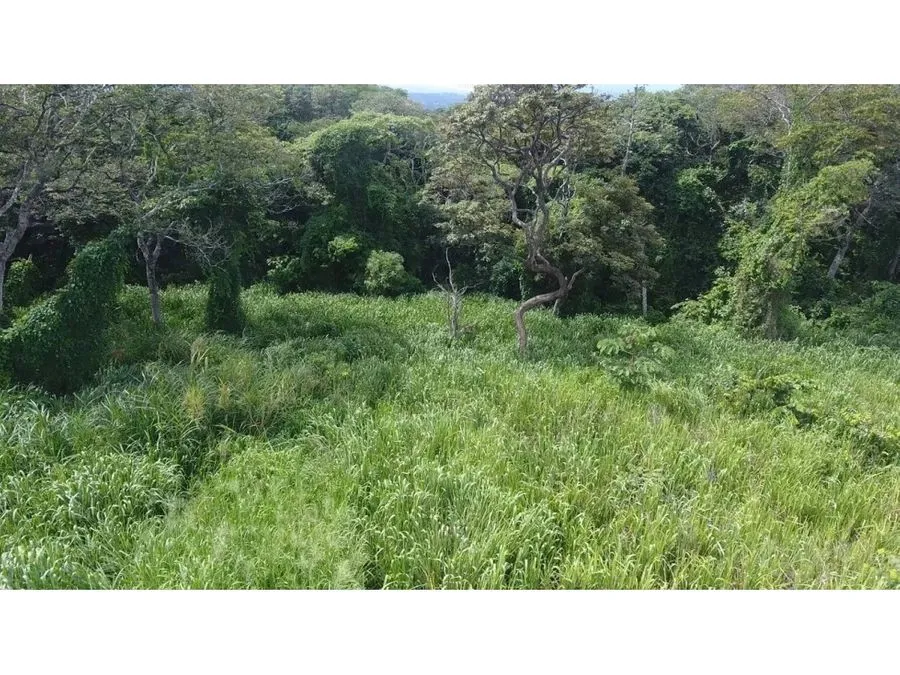 Selling a large lot in La Garita, Alajuela - image 3