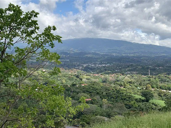 Condominium Lots with Perfect Views - image 4