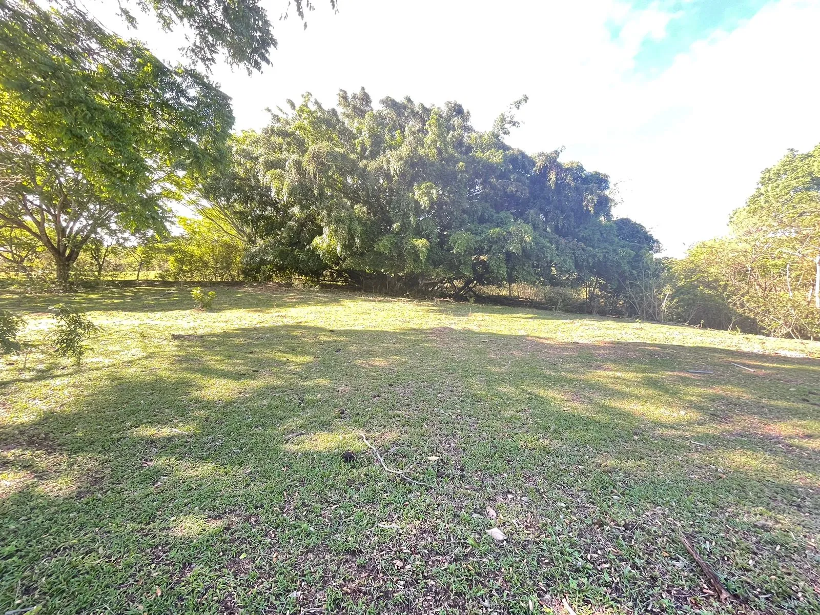 For Sale: Land for Development in Santa Ana - image 9