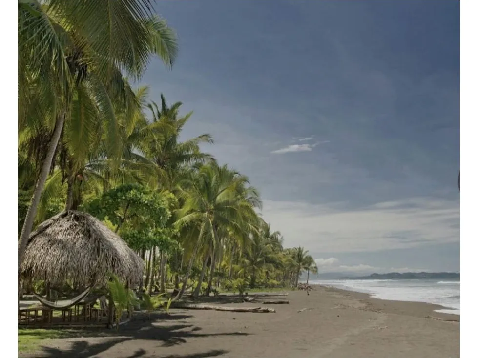  Great Opportunity to Buy Your Lot Of Land In Playa Hermosa, Jaco - image 8