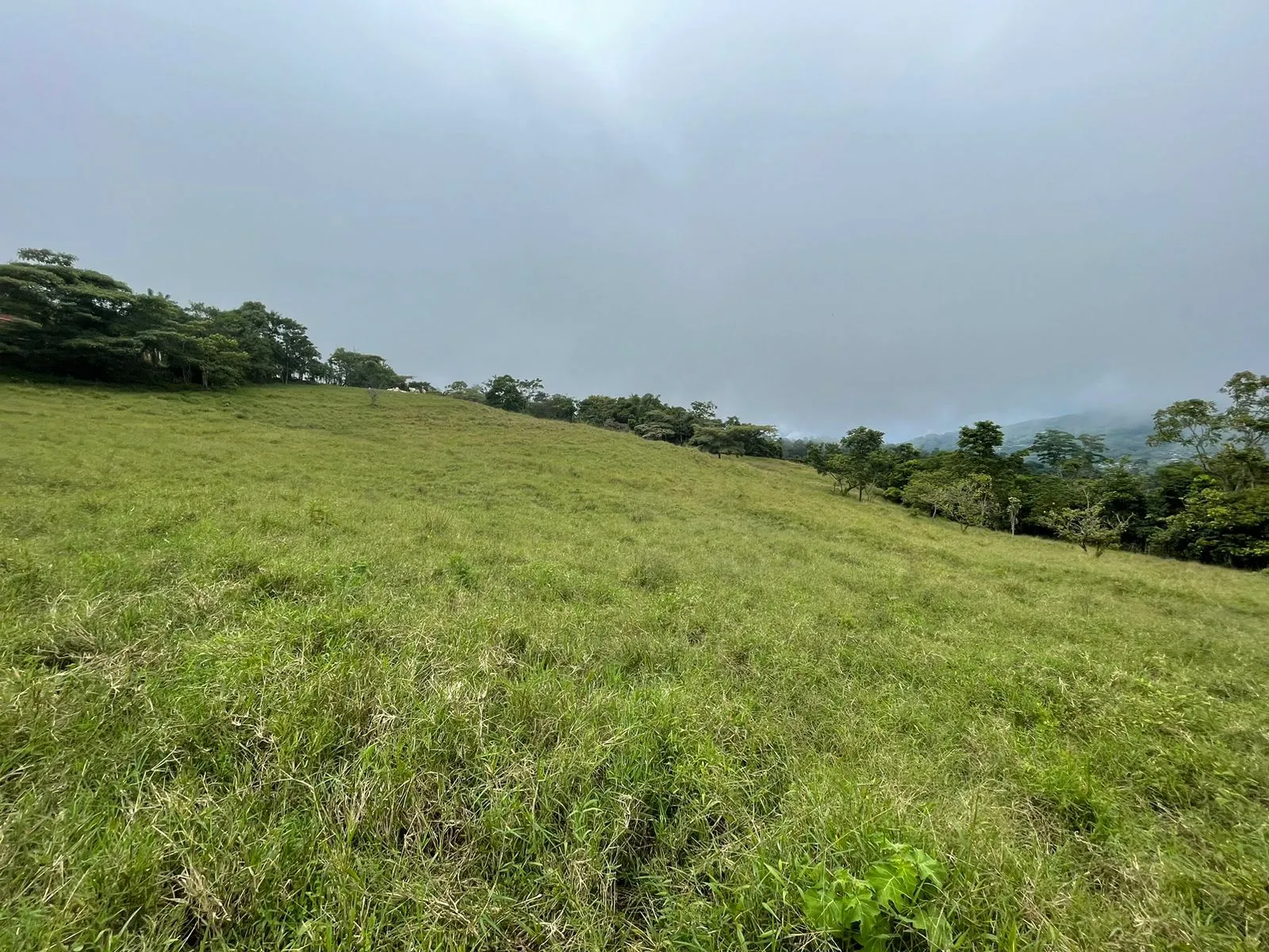 For Sale: Farm for development in Puriscal - image 4