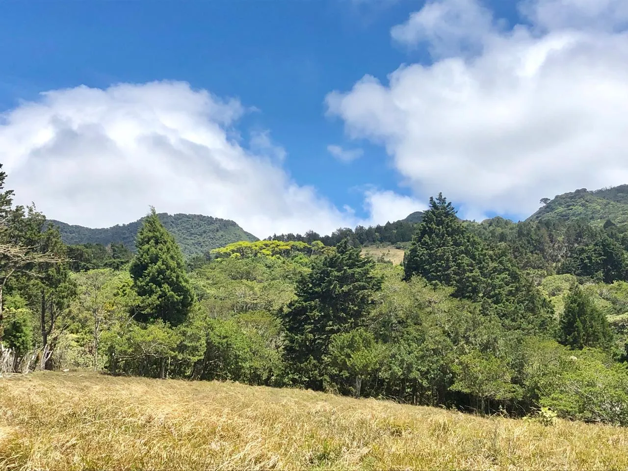 Sale / Beautiful Land (With Permission for Commercial Use) San Isidro, Heredia - image 3