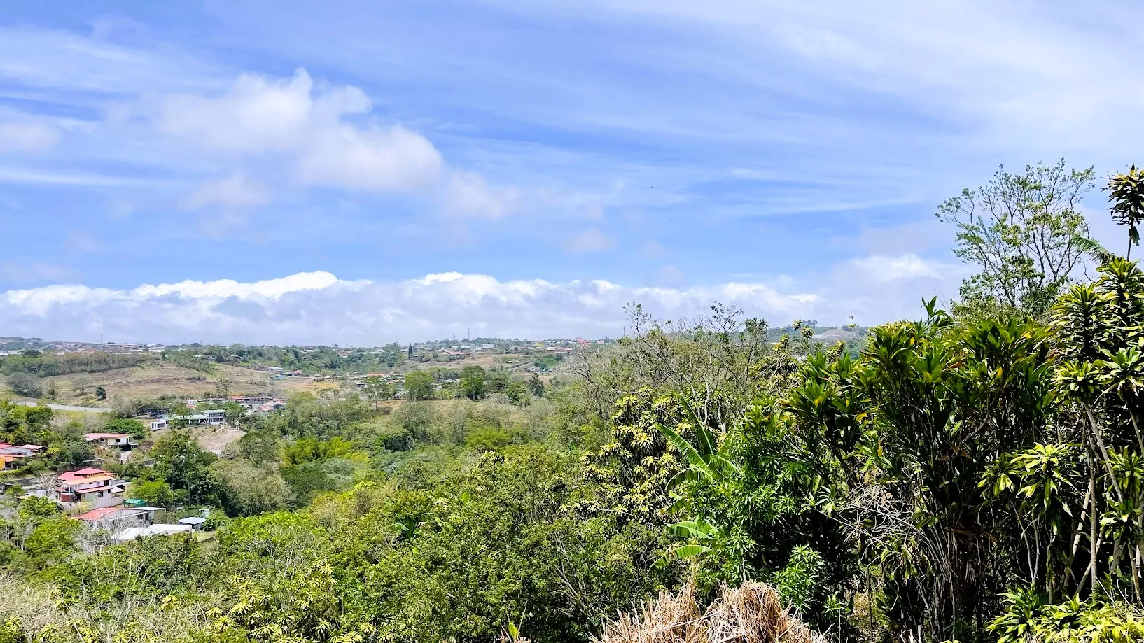 LOT FOR SALE IN SAN ISIDRO, SAN RAMON - image 13