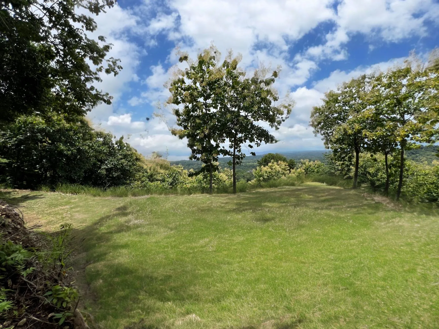 Beautiful Oceanview lot in community in Tambor - image 7