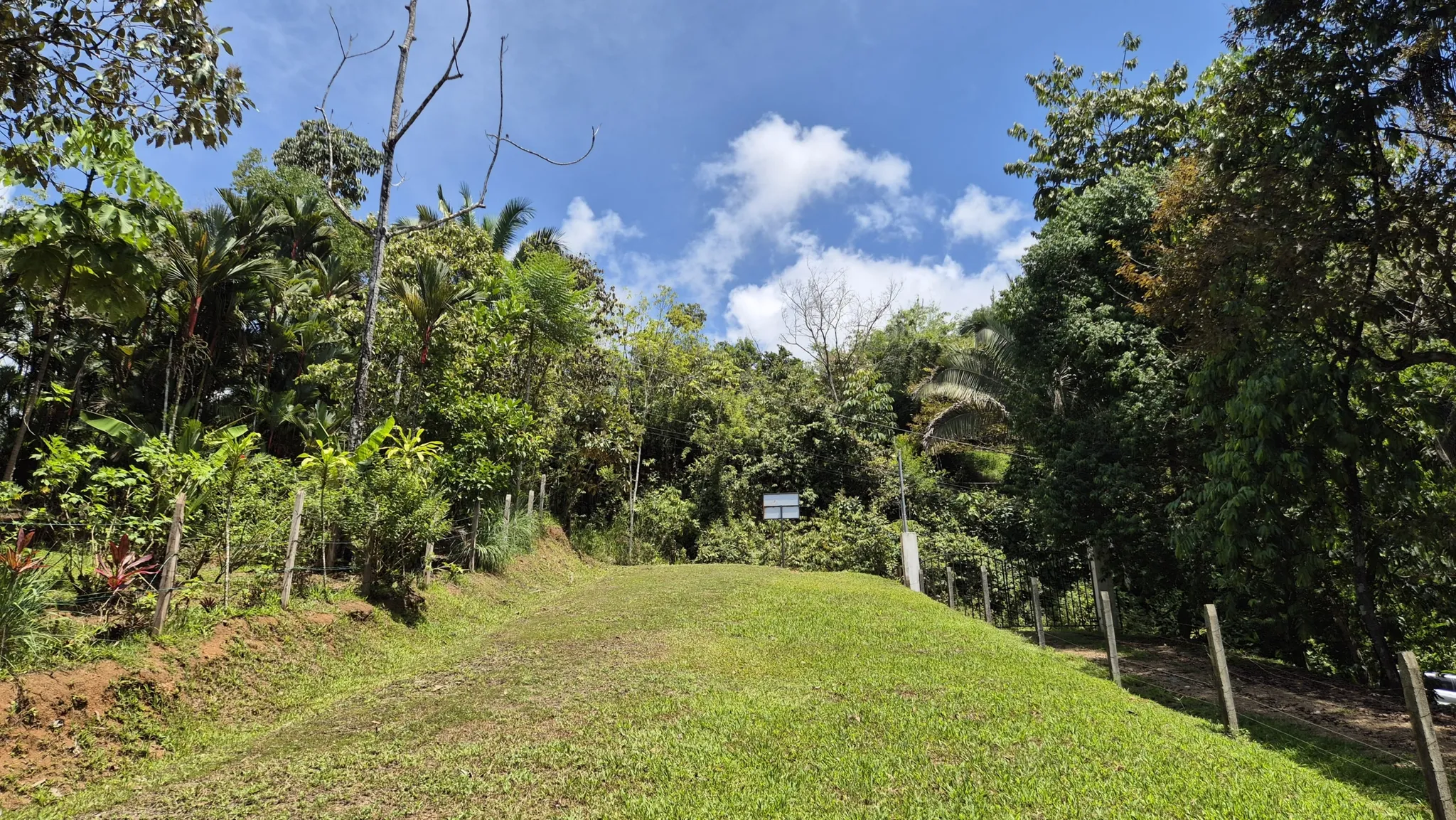 Conveniently Located Property at Playa Hermosa in Uvita, Costa Rica - image 7