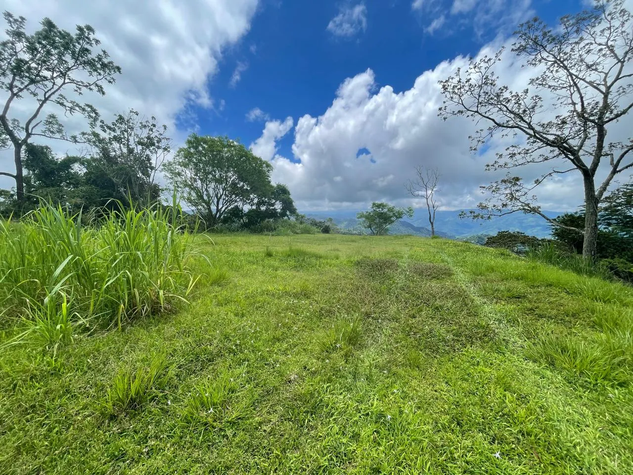 For Sale: Spectacular Lots in Gated Community in Puriscal - image 6