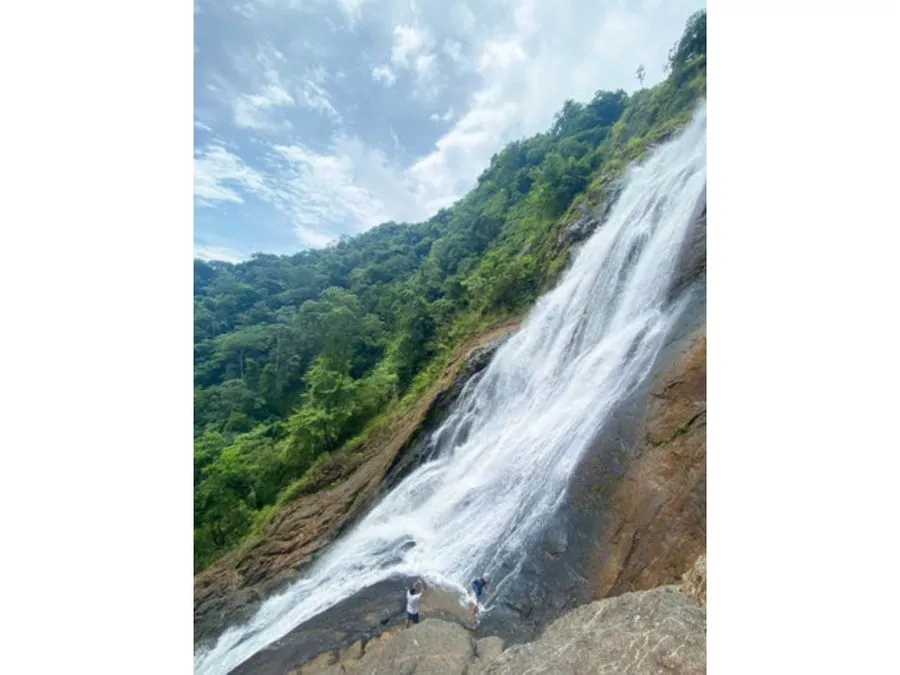  Beautiful Plot Of Land In Bijagual - image 5