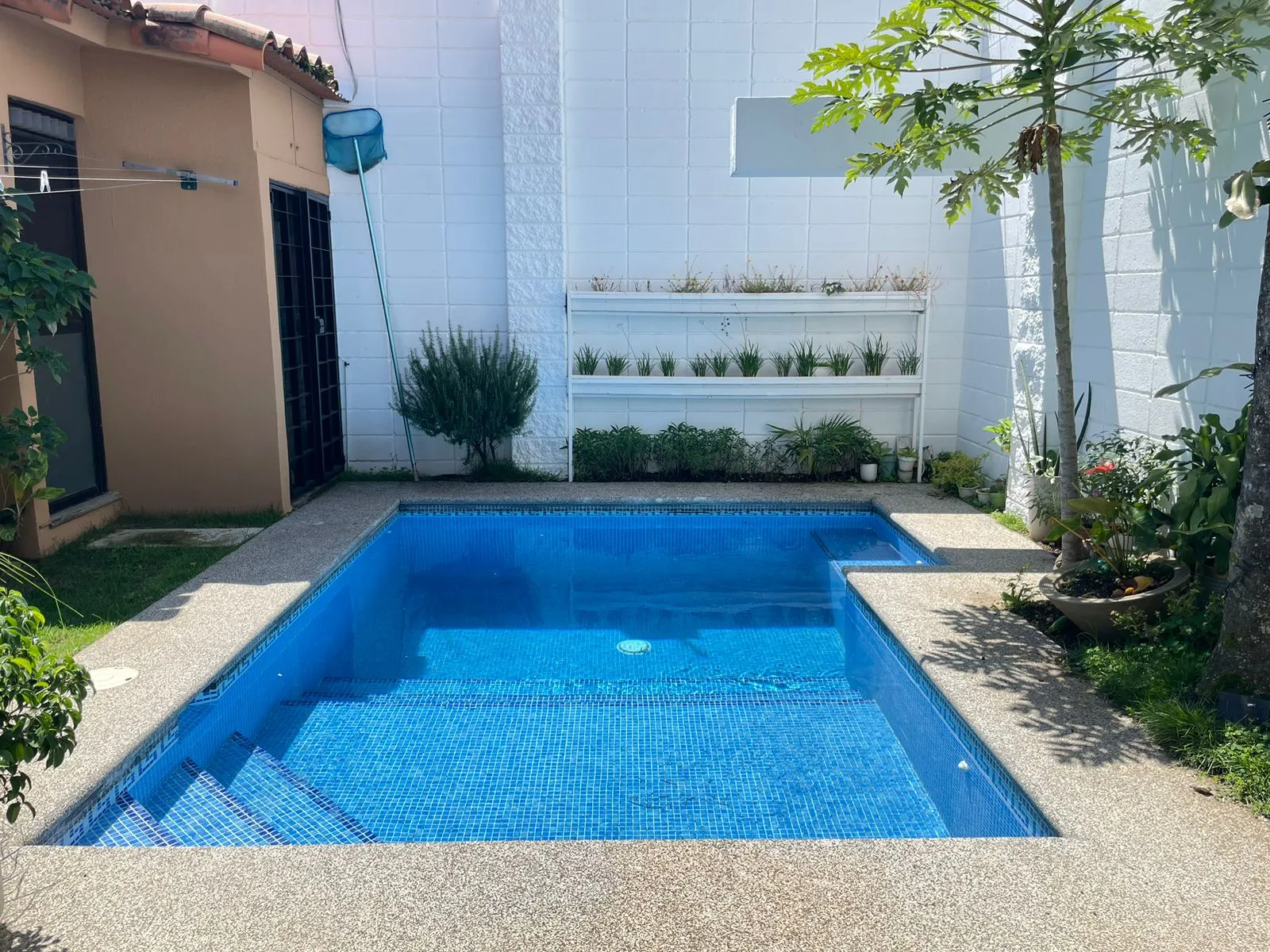 House for Sale or Rent in Belen - image 8