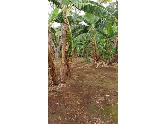 Lot for Sale in Santa Bárbara de Heredia - image 2