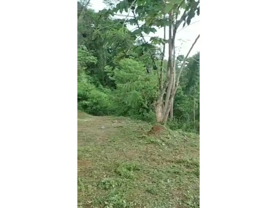  Beautiful Plot Of Land In Bijagual - image 7