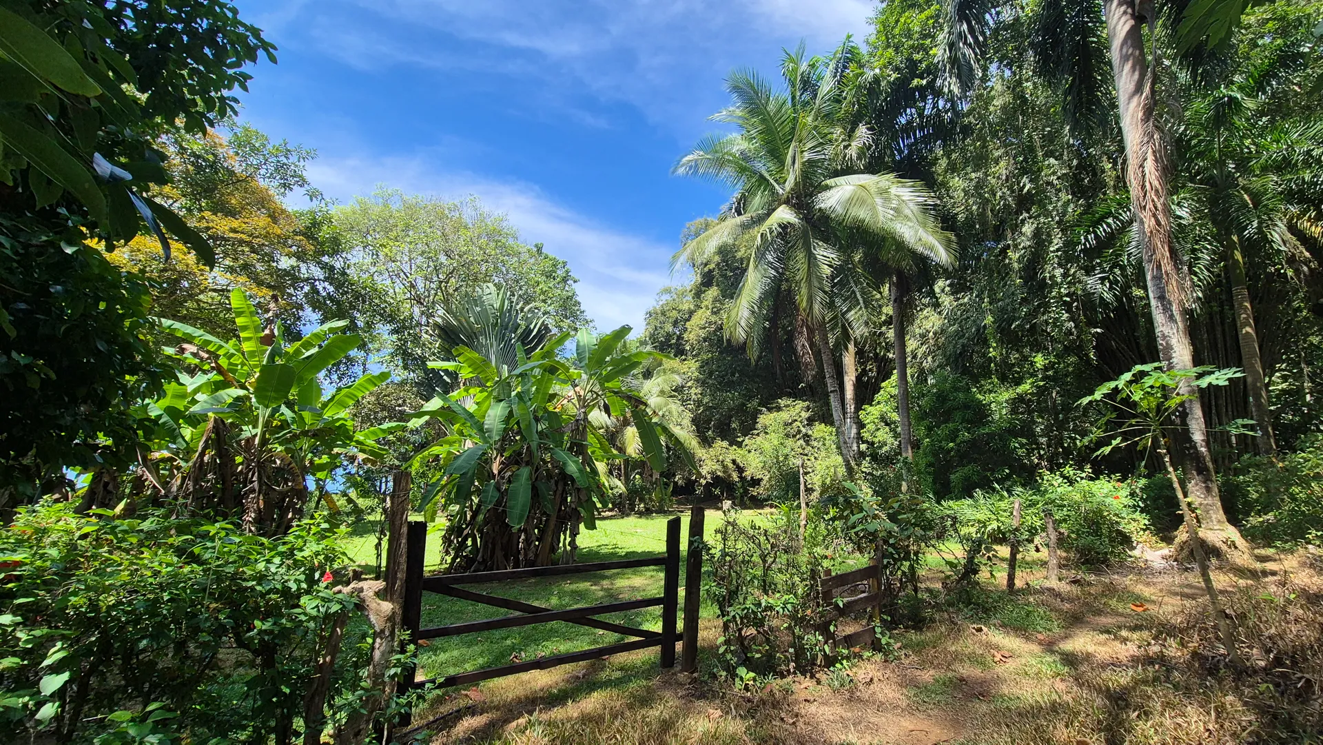 Dream Beachfront Property at Ballena Beach in Uvita, Costa Rica - image 4